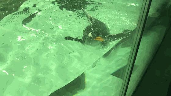 升！升！升！周末去这些地方打卡→