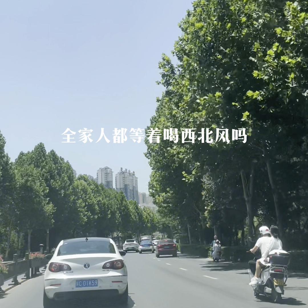 谁能理解男人#宝鸡鳄鱼