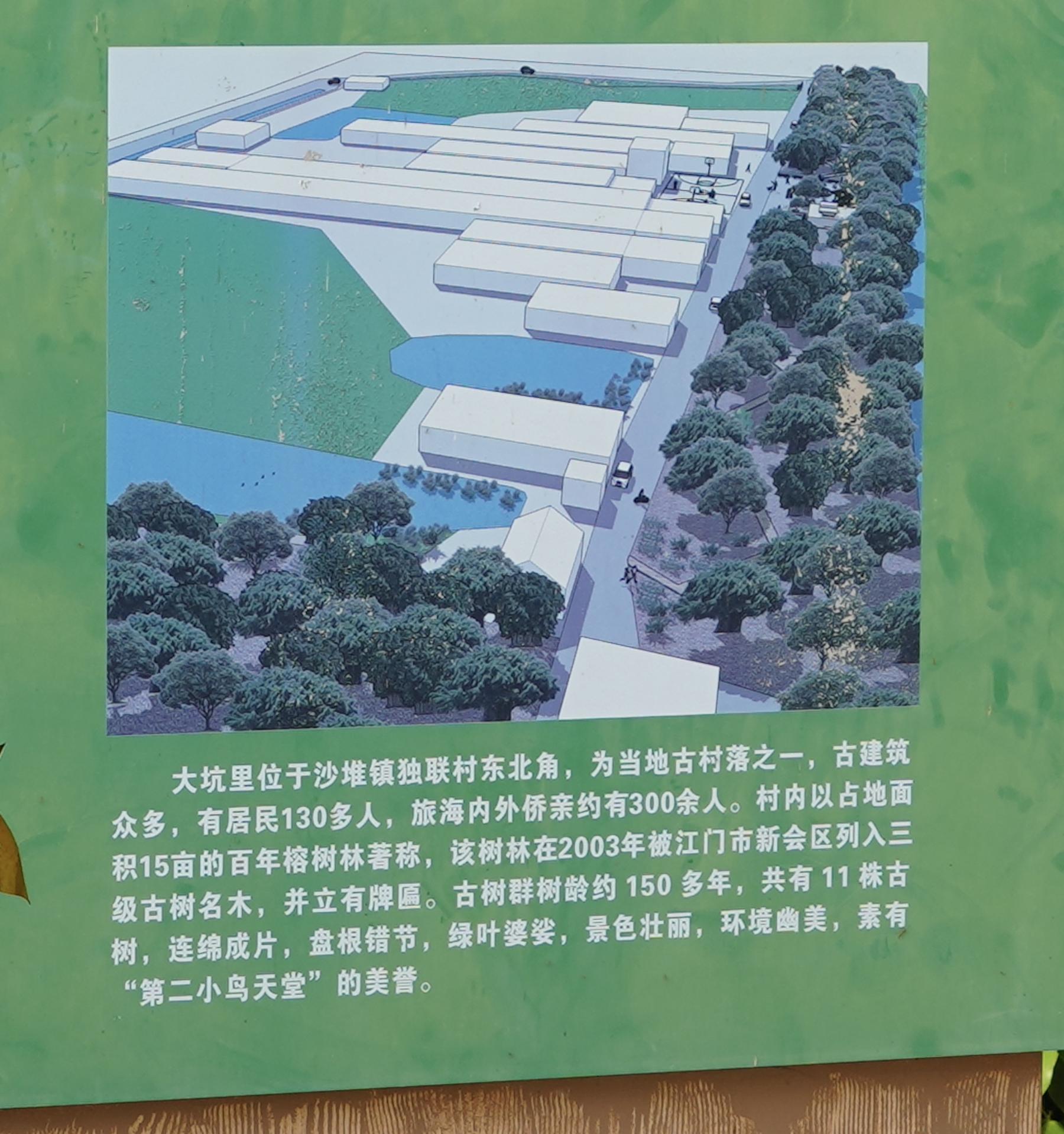 江门新会旅游景点小鸟的天堂,新会小鸟天堂历史记录