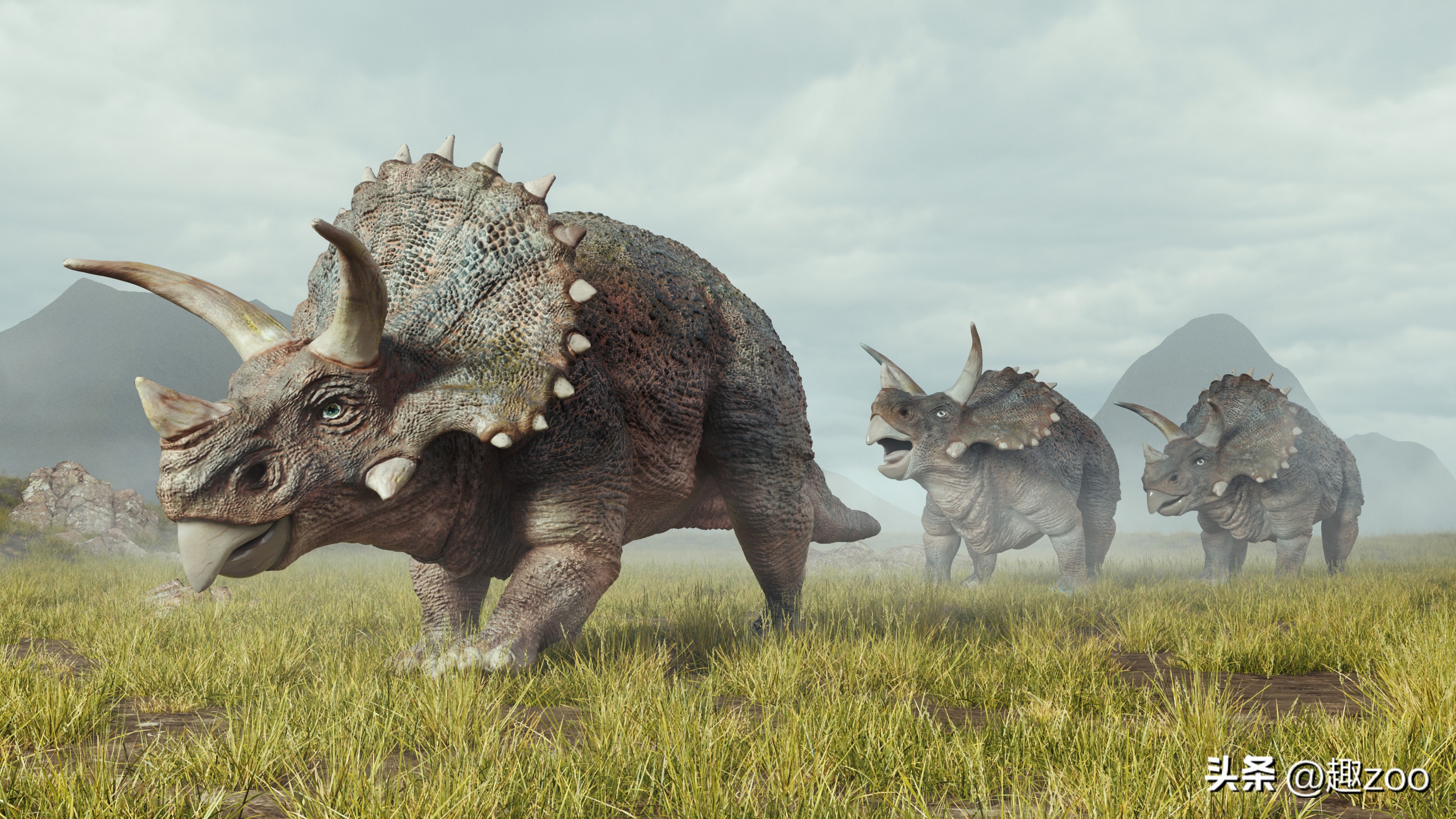 世界上有哪些著名的恐龙化石,世界十大恐龙巨龙排名