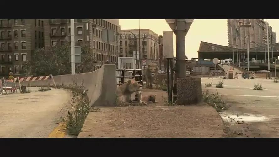 最励志的足球电影,体育运动题材电影