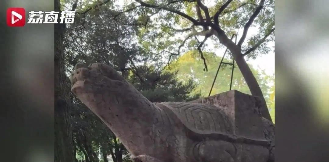 南京灵谷寺历史,南京灵谷寺真实历史