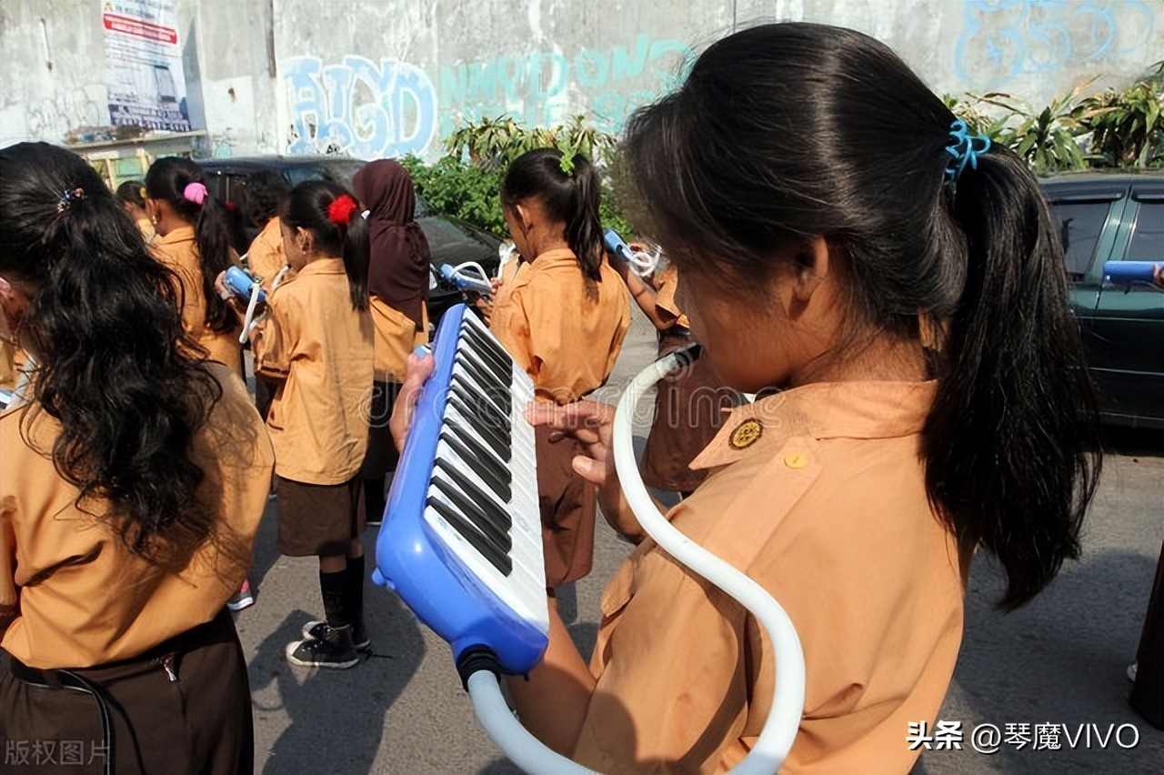 从零开始学音乐全套,手把手教你弹乐器