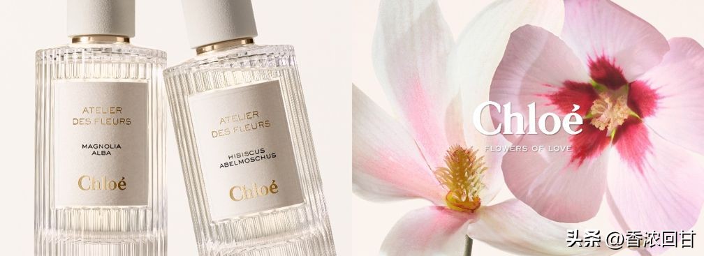 必抢情人节限定美妆！