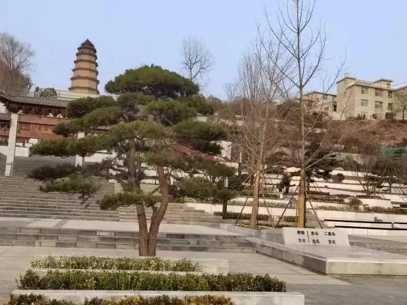 龙山公园攻略,龙山公园一日游