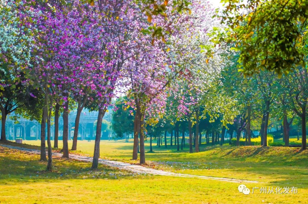 两人从化两天一夜游玩攻略,去从化玩的攻略