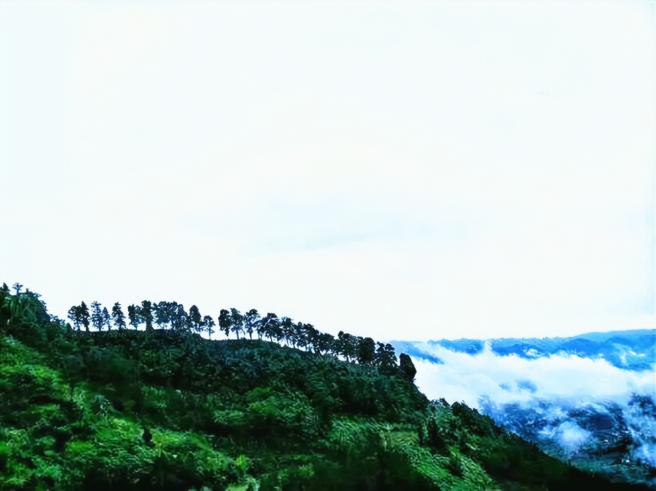 绉嬭櫕璇楁瓕,绉嬭櫕璇楁枃