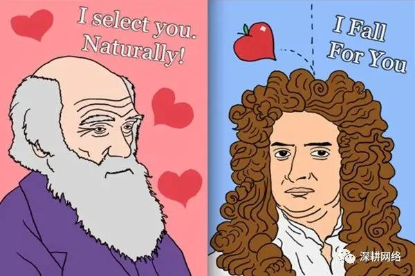 情人节特辑爱情与玫瑰花,情人节特辑