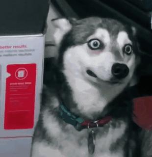 会计为啥工资低还考那么多证,广州会计工资低