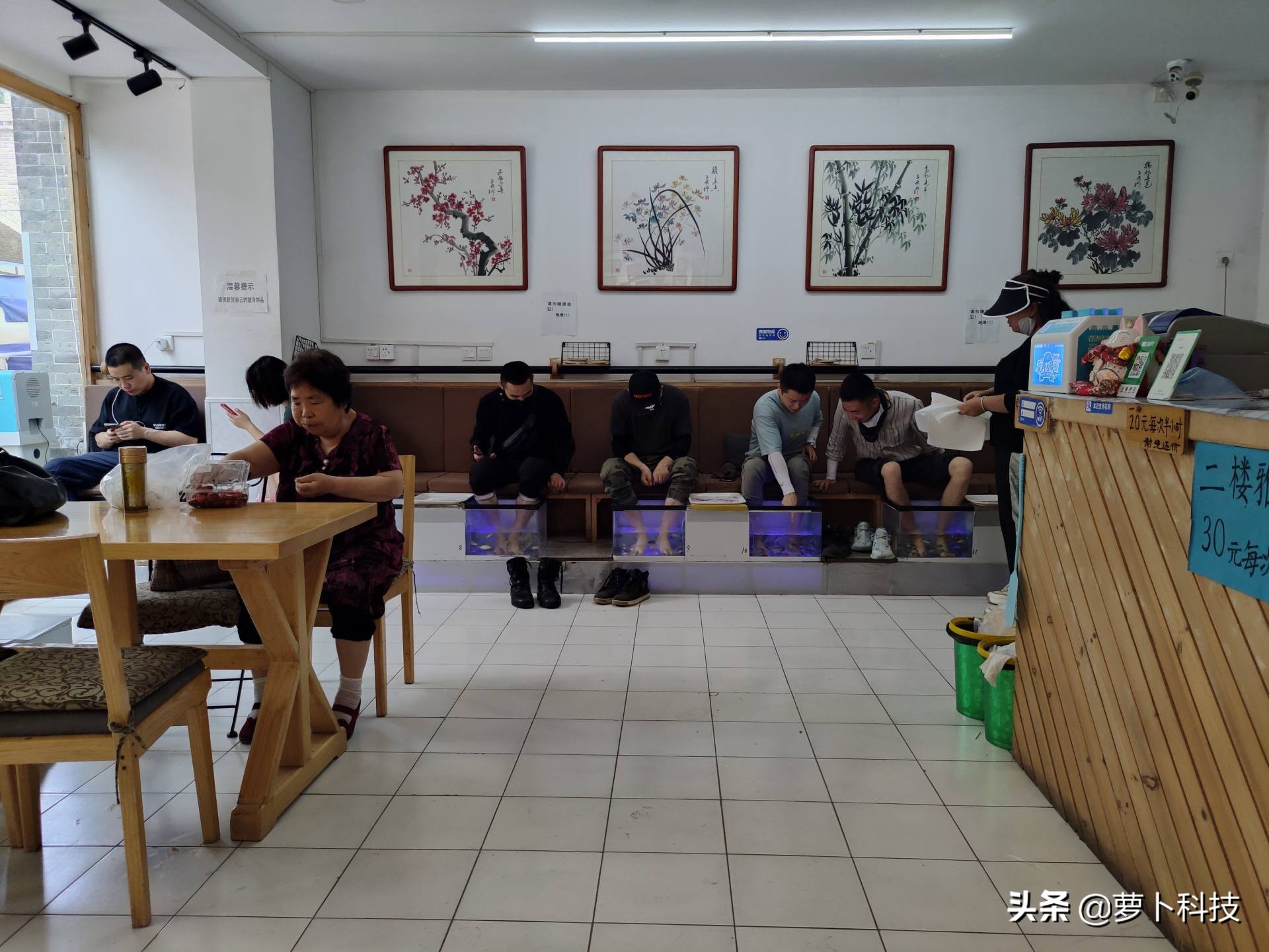 莫里尼x-cape650,x-cape650