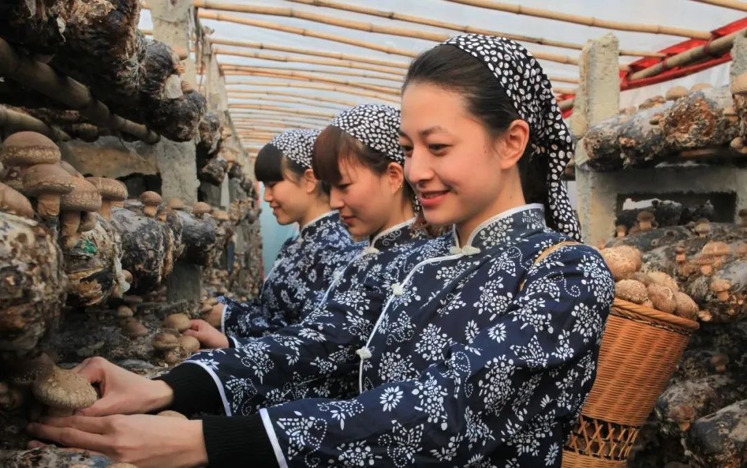 仲景香菇酱:从地方特产到全国餐桌上的品牌跨越