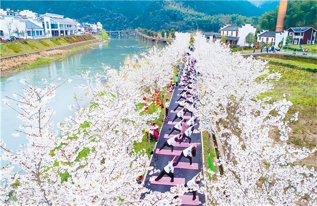 广东省二轻集团,二轻集团