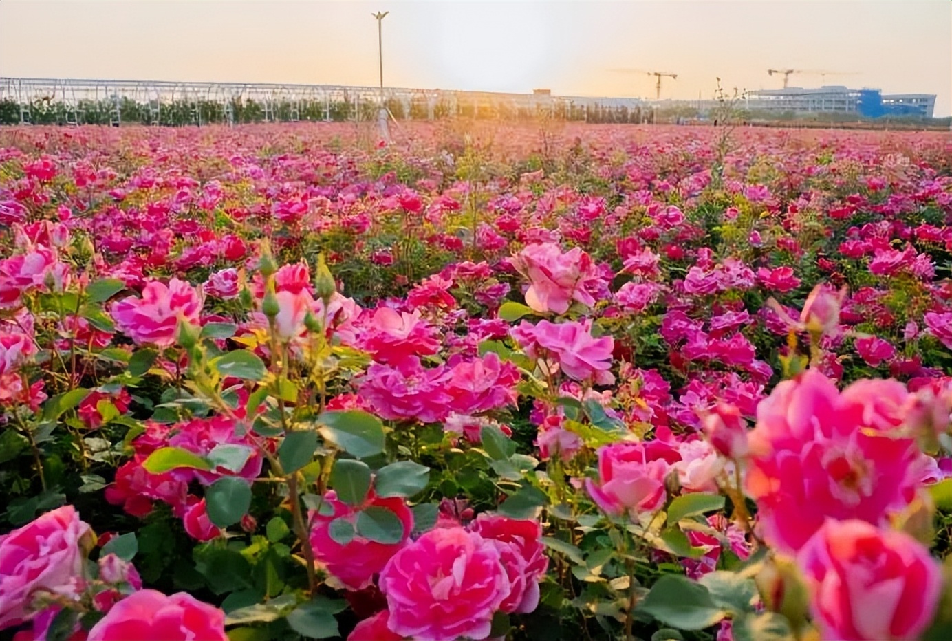 夏天游玩路线,夏天旅游最佳路线推荐