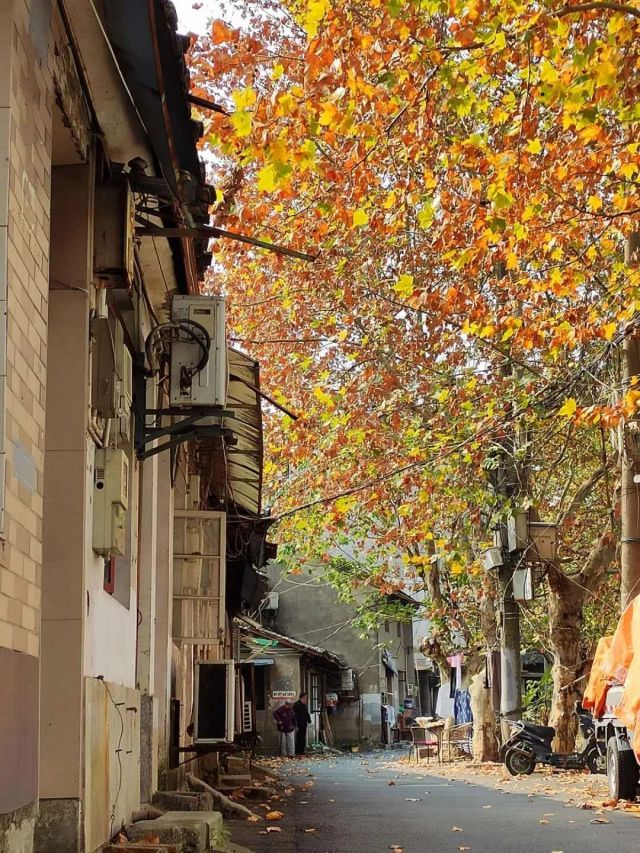 杭州有条老的老街吗,杭州可以逛的老街和村落