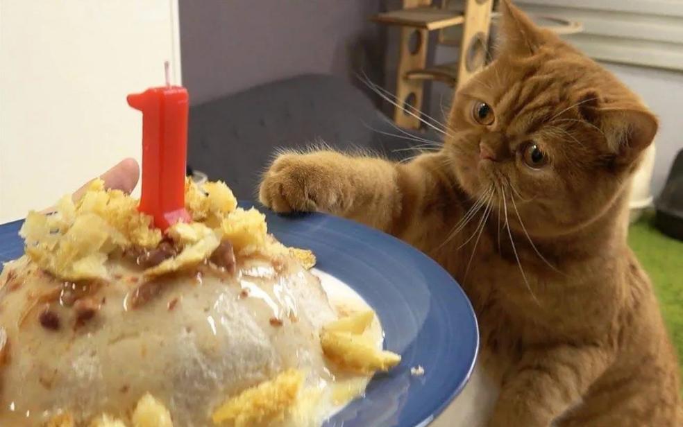 笑话段子大集锦，笑话段子：我舔的