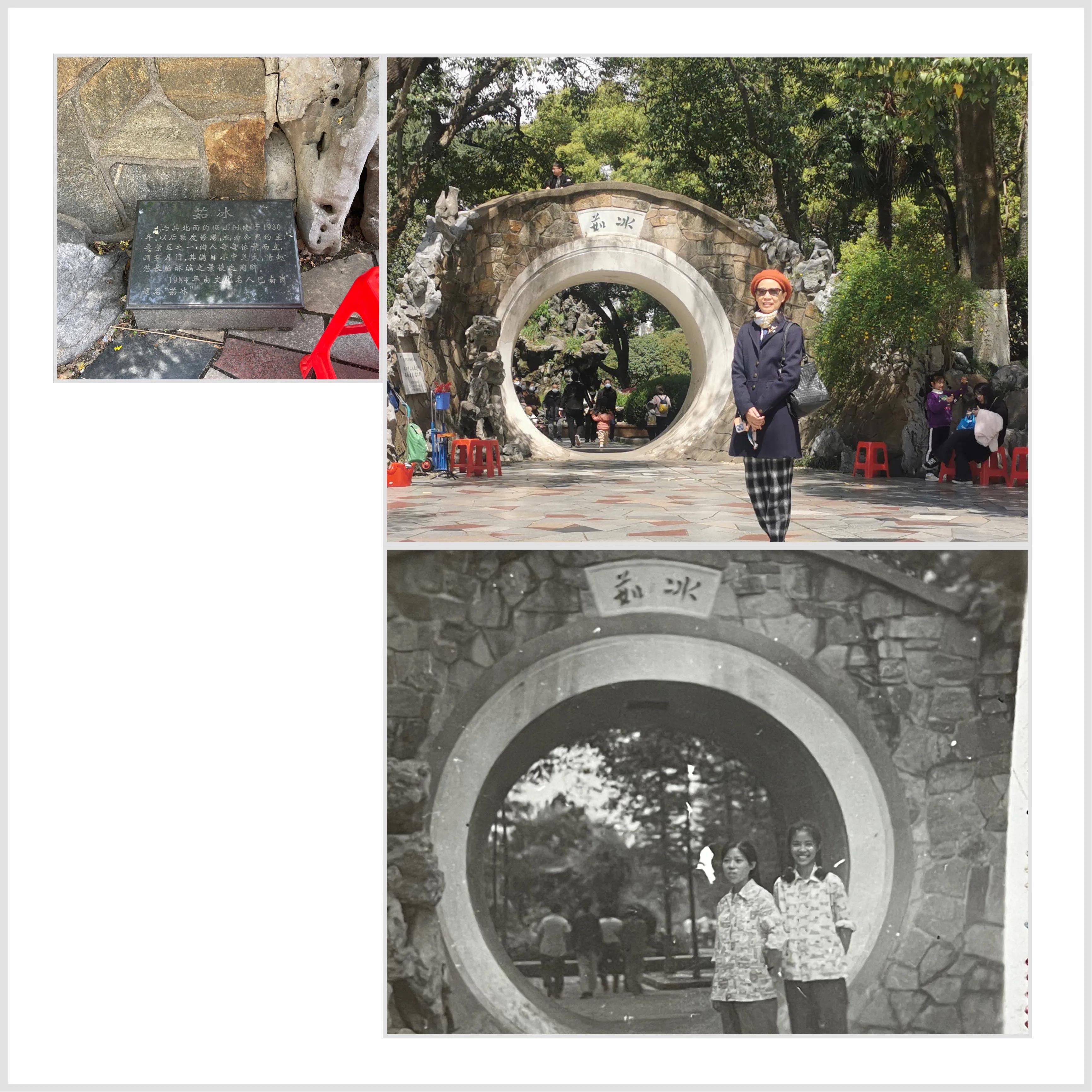 重游奉化中山公园童年记忆,旅游中山公园攻略图文高清