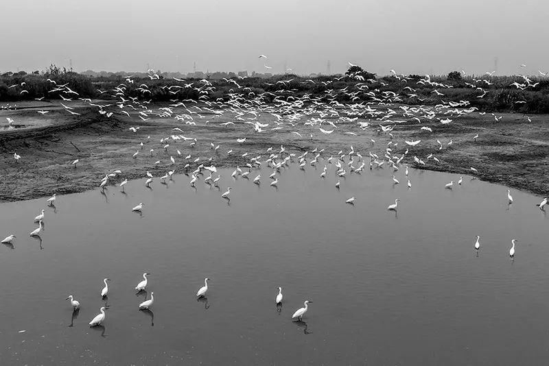 入展作品图片大全,瓶窑风景图片欣赏