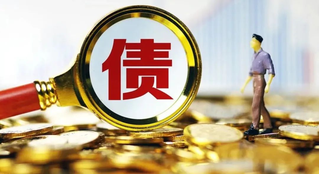 债务风险和债权转移,债务部分转移与债务加入