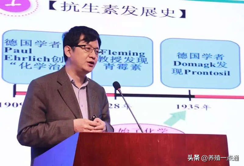 马秋刚,中国农业大学教授、博导,畜禽营养专家