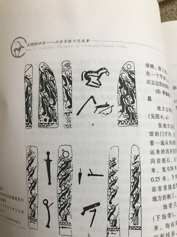 人类起源新说,人类起源新论完整版