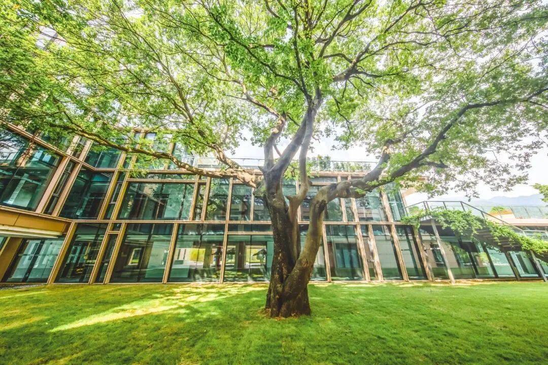 从化民宿温泉一日游哪里好玩,广州从化温泉自驾