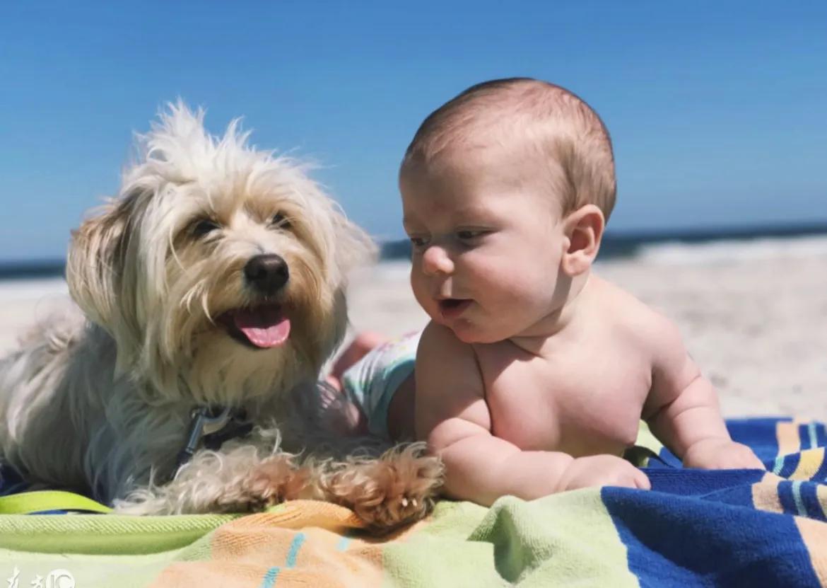 幽默笑话不胜酒力,关于水的幽默笑话段子