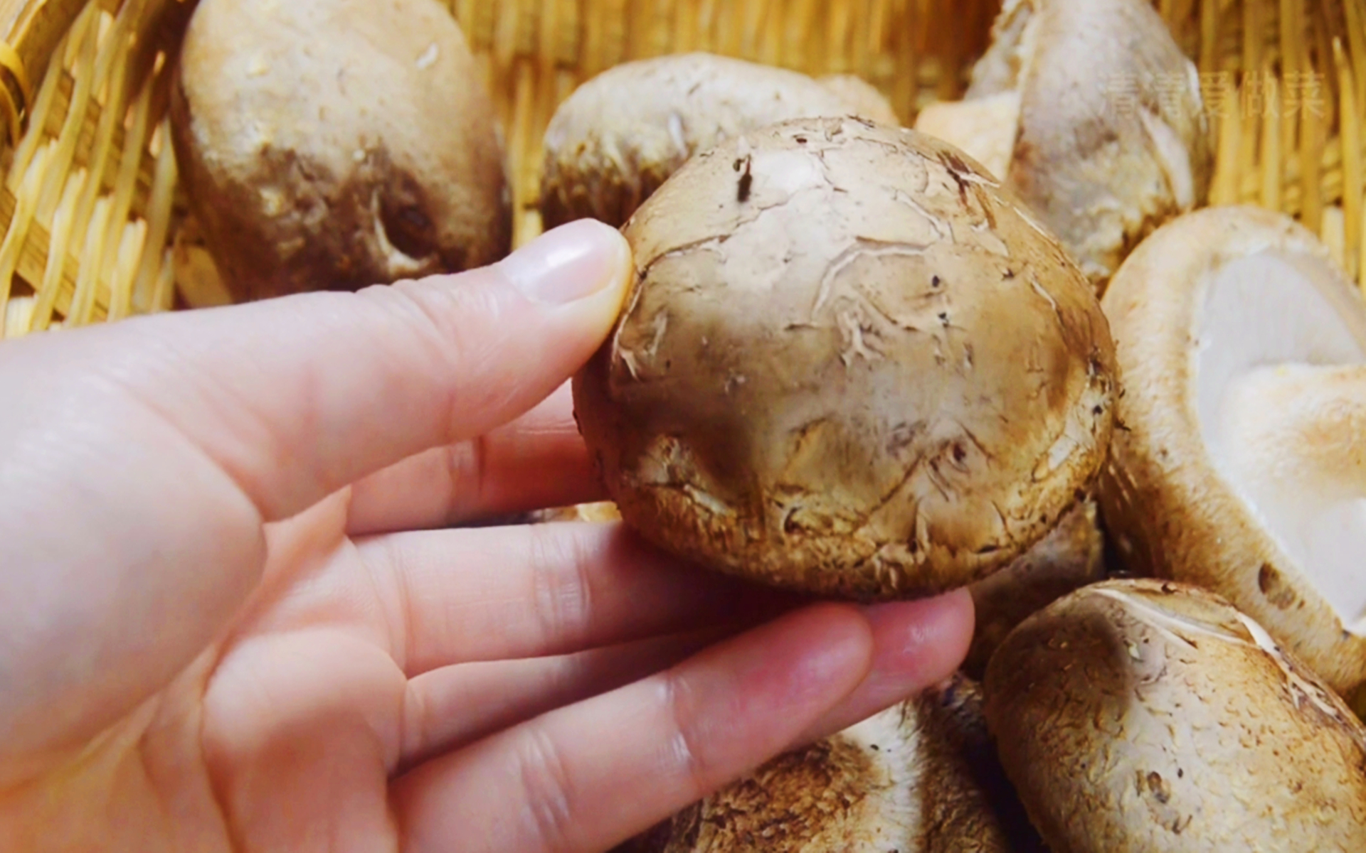 香菇四种不宜买,香菇的三大禁忌