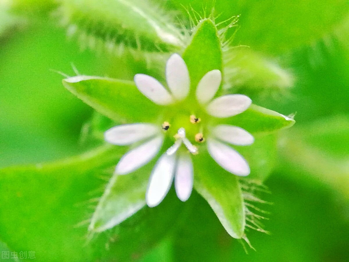 推荐穿越古代历史小说,推荐一本唐朝穿越小说排行榜