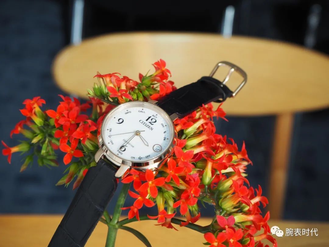 性价比高的入门级女表,怎么选一只百搭的女表