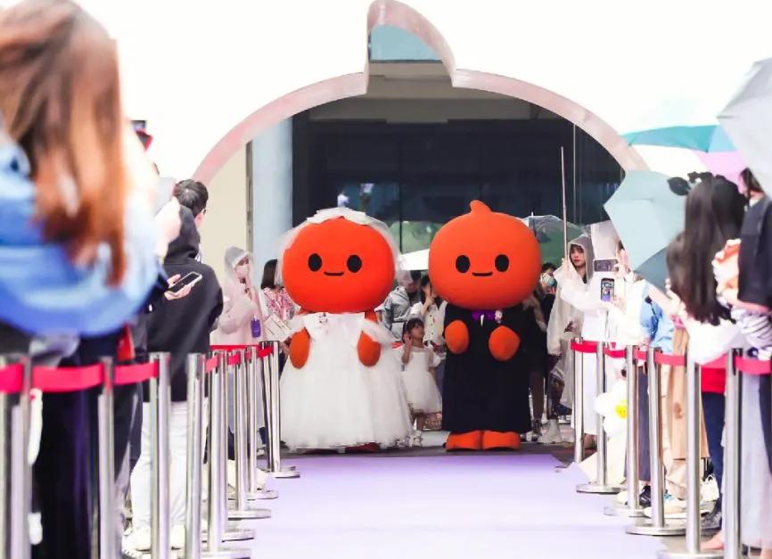 阿里巴巴并购网易考拉分析,阿里巴巴并购网易考拉存在的问题