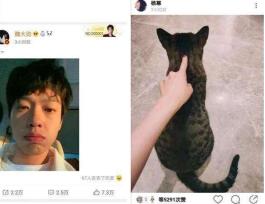 内娱报道杨幂,内娱2011年杨幂