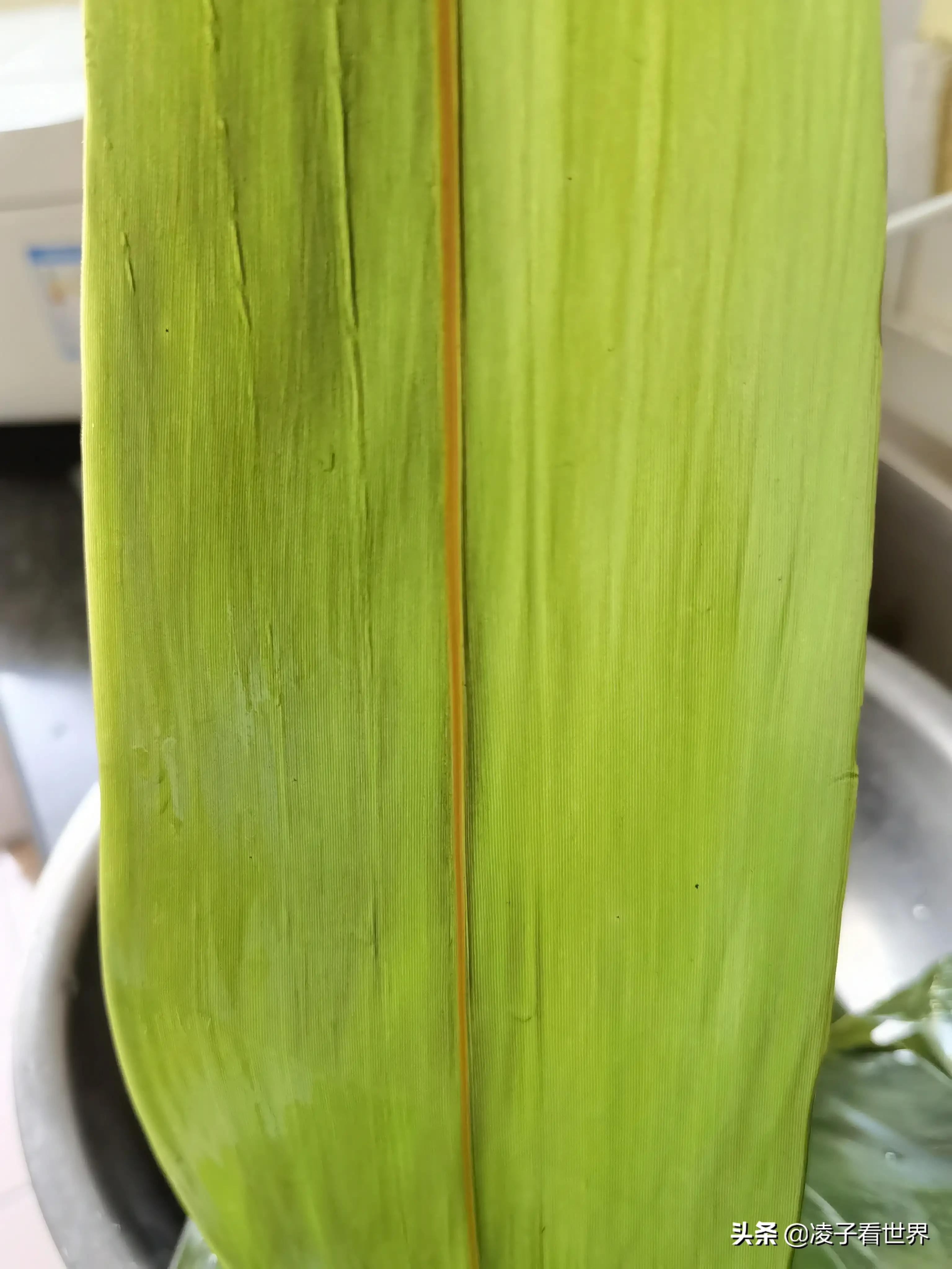 包粽子对身体有什么危害,包粽子用硼砂的危害