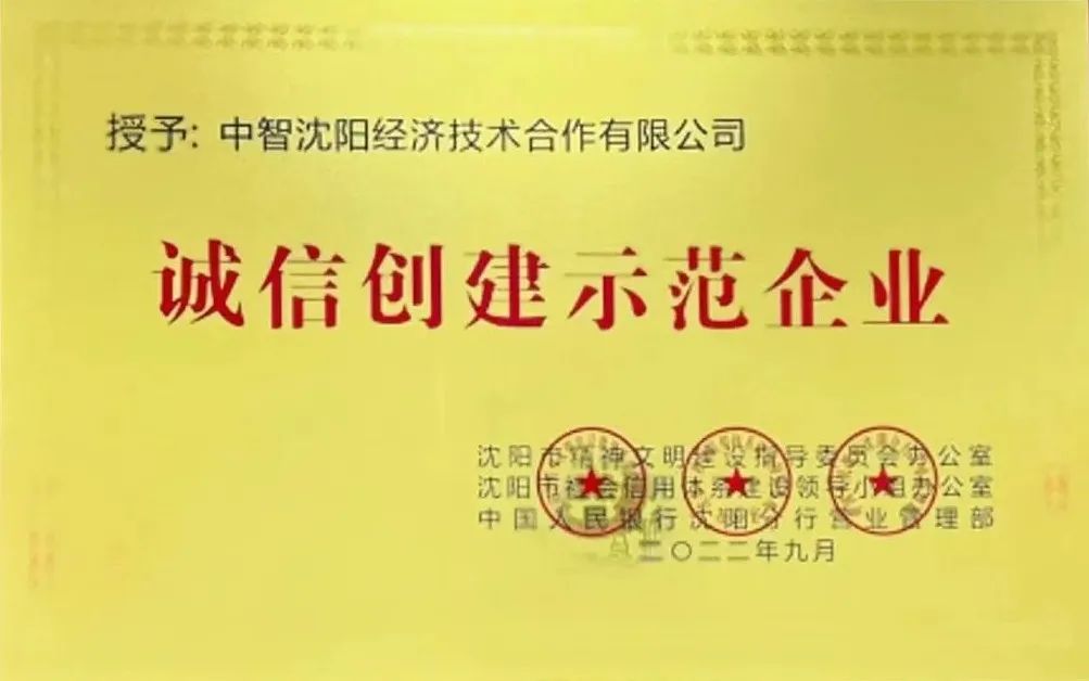 中智科创服务山东,中智科技集团有限公司辽宁