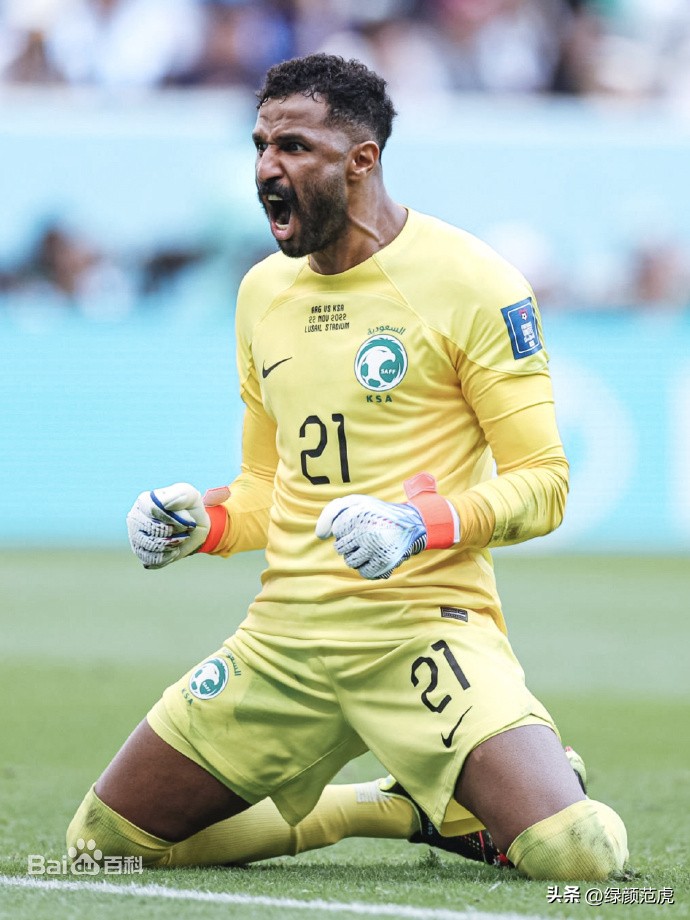 看世界杯分析,世界杯俄罗斯门将