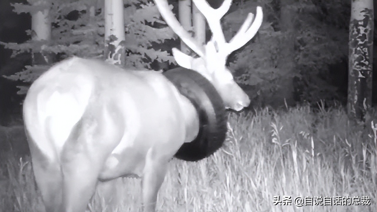 超级血液代表着什么,超级血液是啥