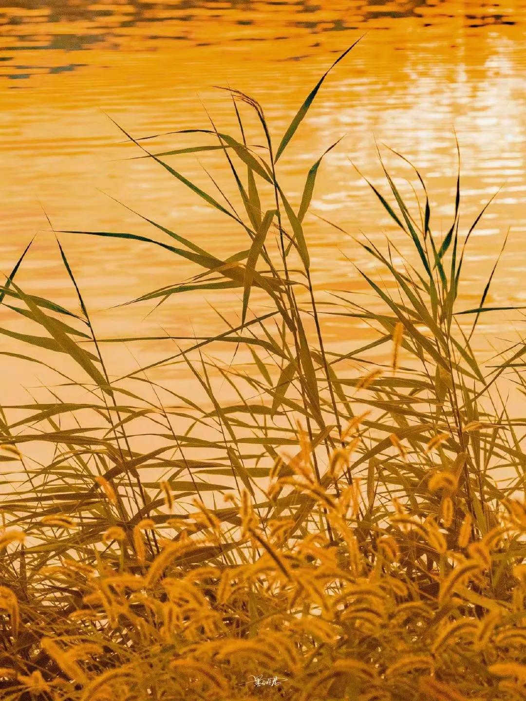 写作三步,写作三要素一年级