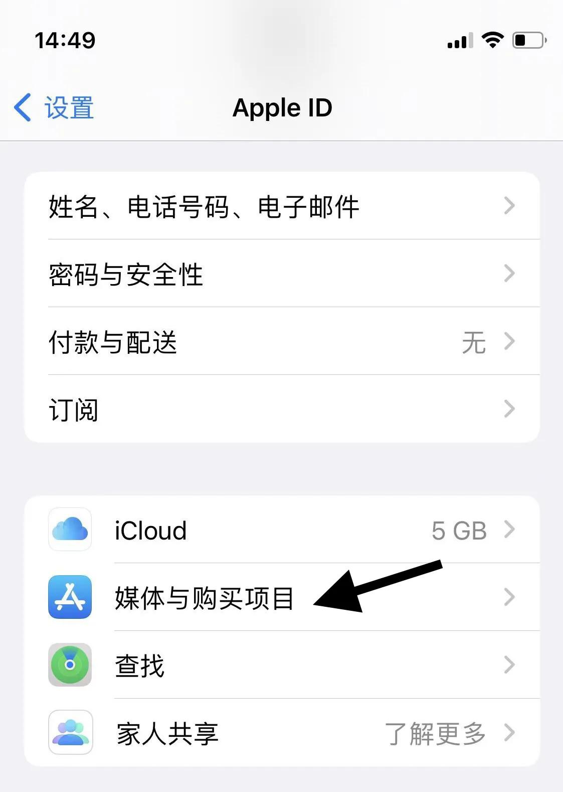 appleid个人id,网页版appleid