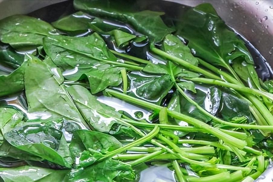 阳了要忌口哪些食物,阳了饮食注意事项