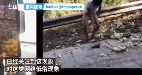 网红女主播吃大白鲨调查后续,网红被爆料吃大白鲨