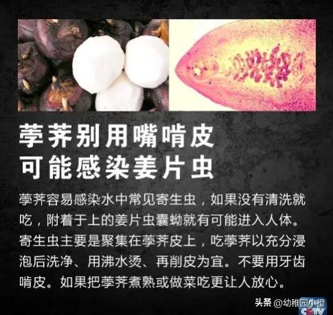 女子体内排出4米长绦虫是什么,宁德女子体内排出4米长绦虫