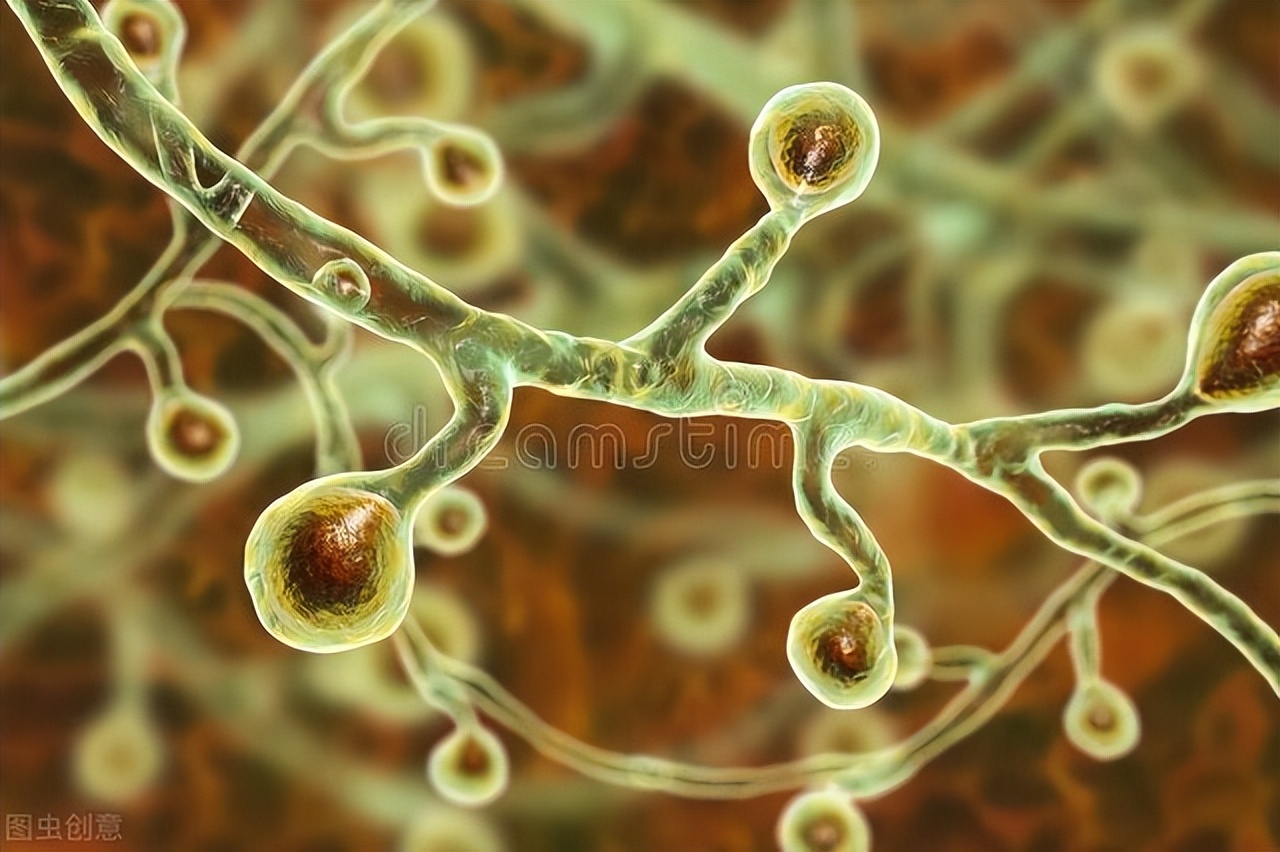 儿童特应性皮炎有救了,儿童特应性皮炎药膏