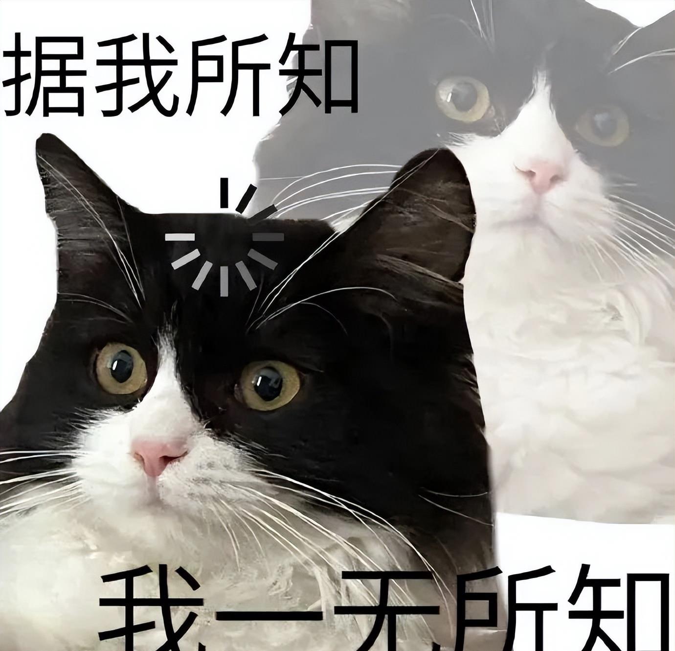 轻松塑造魅力四溢的吸睛全身照,全身照脸特别大