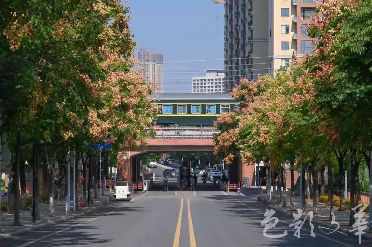 9大理由揭秘：在这个学校为何既能快乐学习，个性又能自由发展？