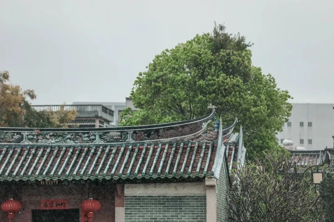 我为什么建议你来北上广深奋斗,我为什么建议你留在一线城市