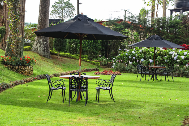 斯里兰卡旅游攻略必去景点,斯里兰卡最佳旅游攻略