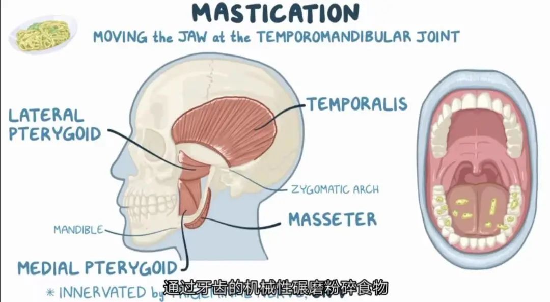 八个月的宝宝吃辅食就吐怎么回事,宝宝吃辅食吐了以后还要吃吗