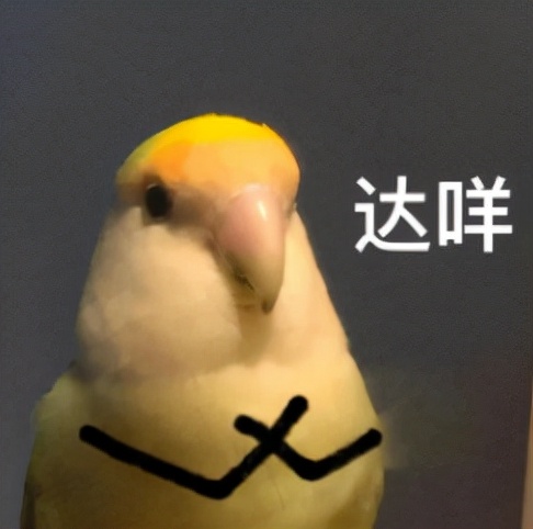 曼彻斯特重大事件,曼彻斯特大学有趣的故事