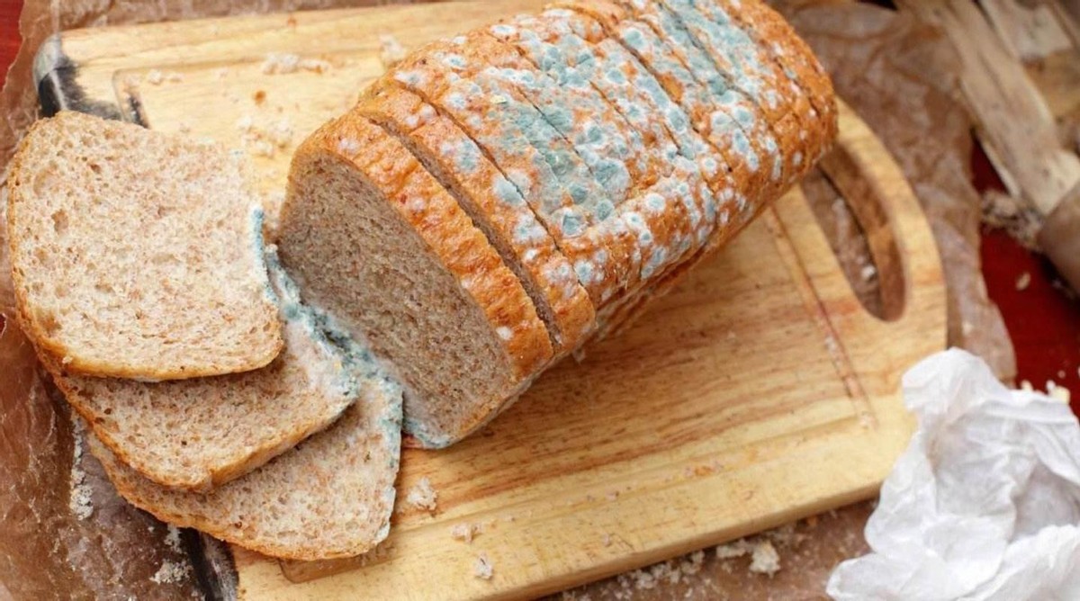 三种食物放入冰箱会造成癌症,一家三口相继去世后续