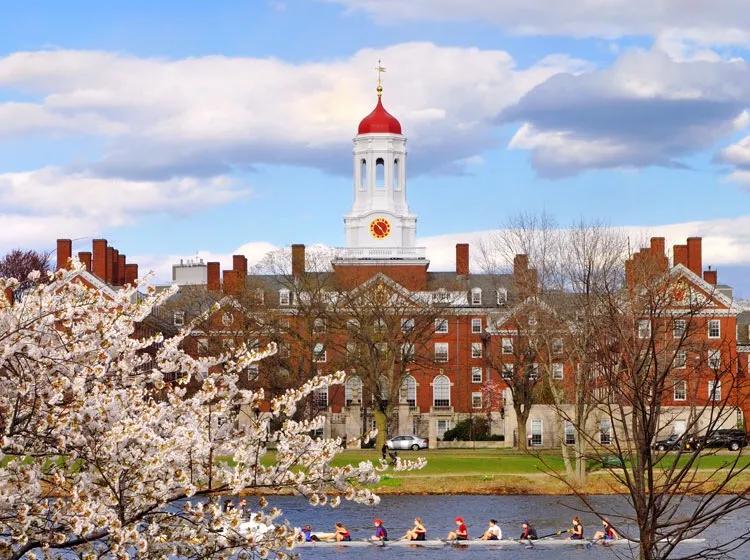 有多少中国人已移民,中国很多人移民了吗