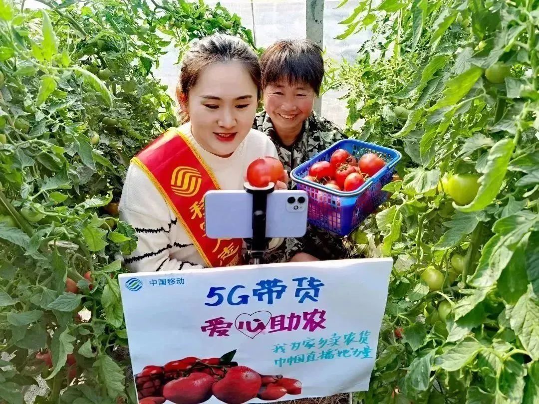 悬念揭晓在即,悬念揭晓视频